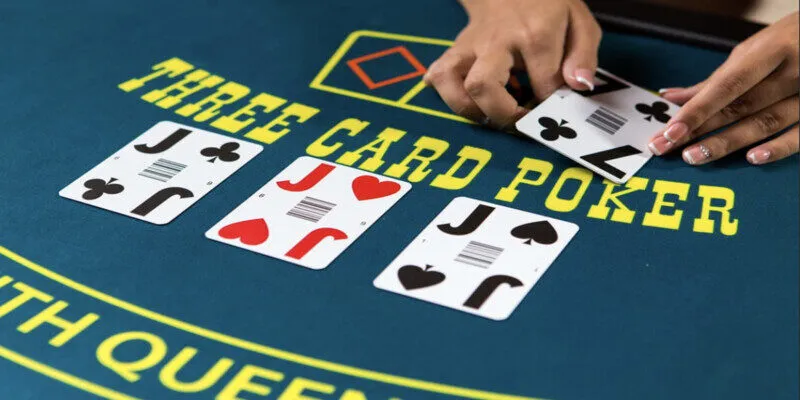 B&agrave;i c&agrave;o được hiểu như thế n&agrave;o?&nbsp;